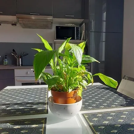 Les Angevines Apartmán *