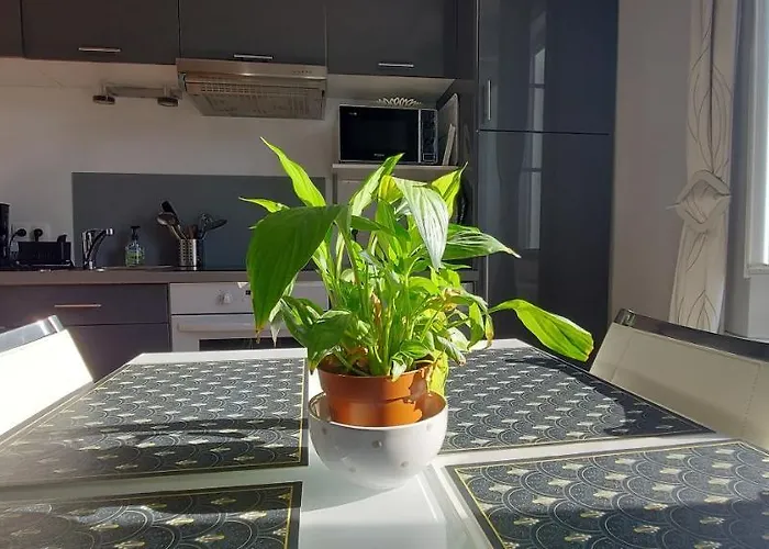 Les Angevines Appartement *