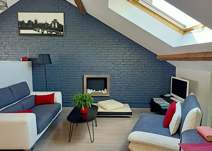 Les Angevines Appartement Angers